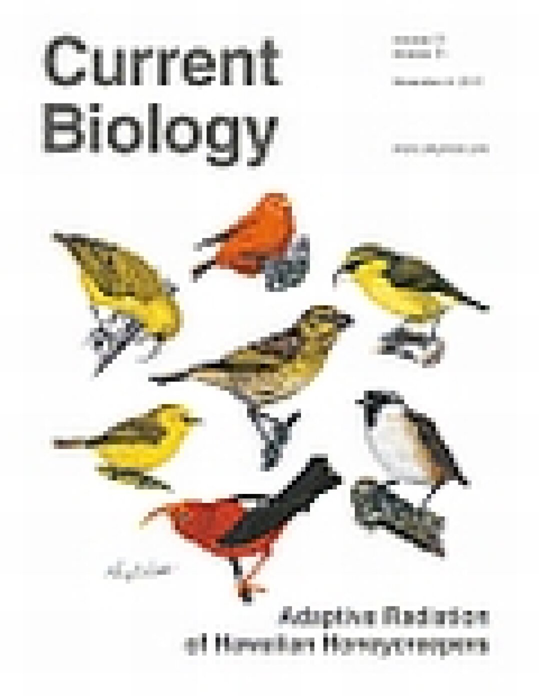 Hebbian learning biases attentional selection