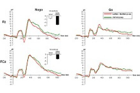 How risk alleles for basal ganglia dysfunctions confer an advantage for specific executive functions