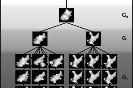 Perceptual categorization in pigeons
