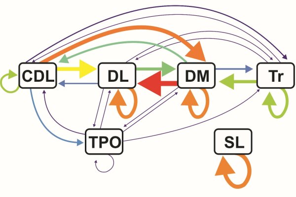2017 Behroozi Functional connectivity pattern