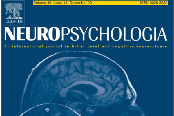 wolf_neuropsychologia_2011