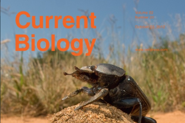 2012 issue Current Biology