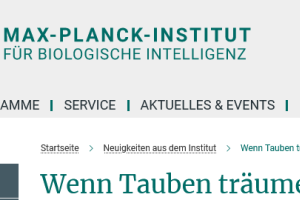 Max Planck Institut_Wenn Tauben träumen
