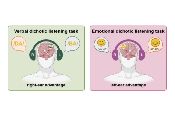 Using the online version of the Trier Social Stress Test1.png