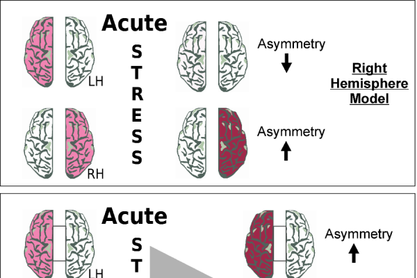2016 Assymetries Stress