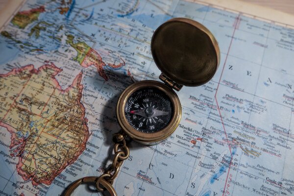 Development of lateralization of the magnetic compass