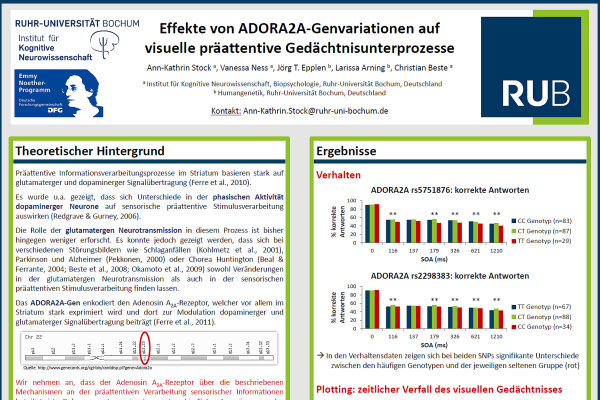 Stock2012 Poster Adora2a