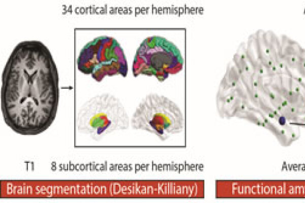 2018 Schlueter Et Al Fig 1