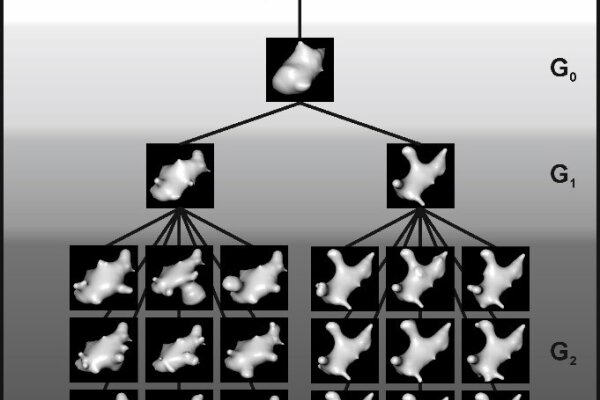 Perceptual Categorization In Pigeons 2022