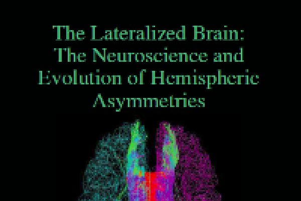 2018 Book Lateralized brain Small