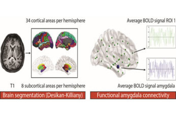 2018 Schlueter Et Al Fig 1
