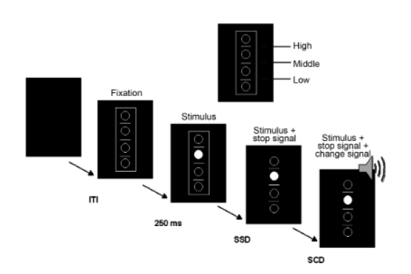 mueckschel13_serial_parallel_eeg_page