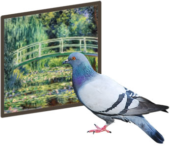  <strong>Pigeon neural responses during categorization of  Monet and Picasso paintings