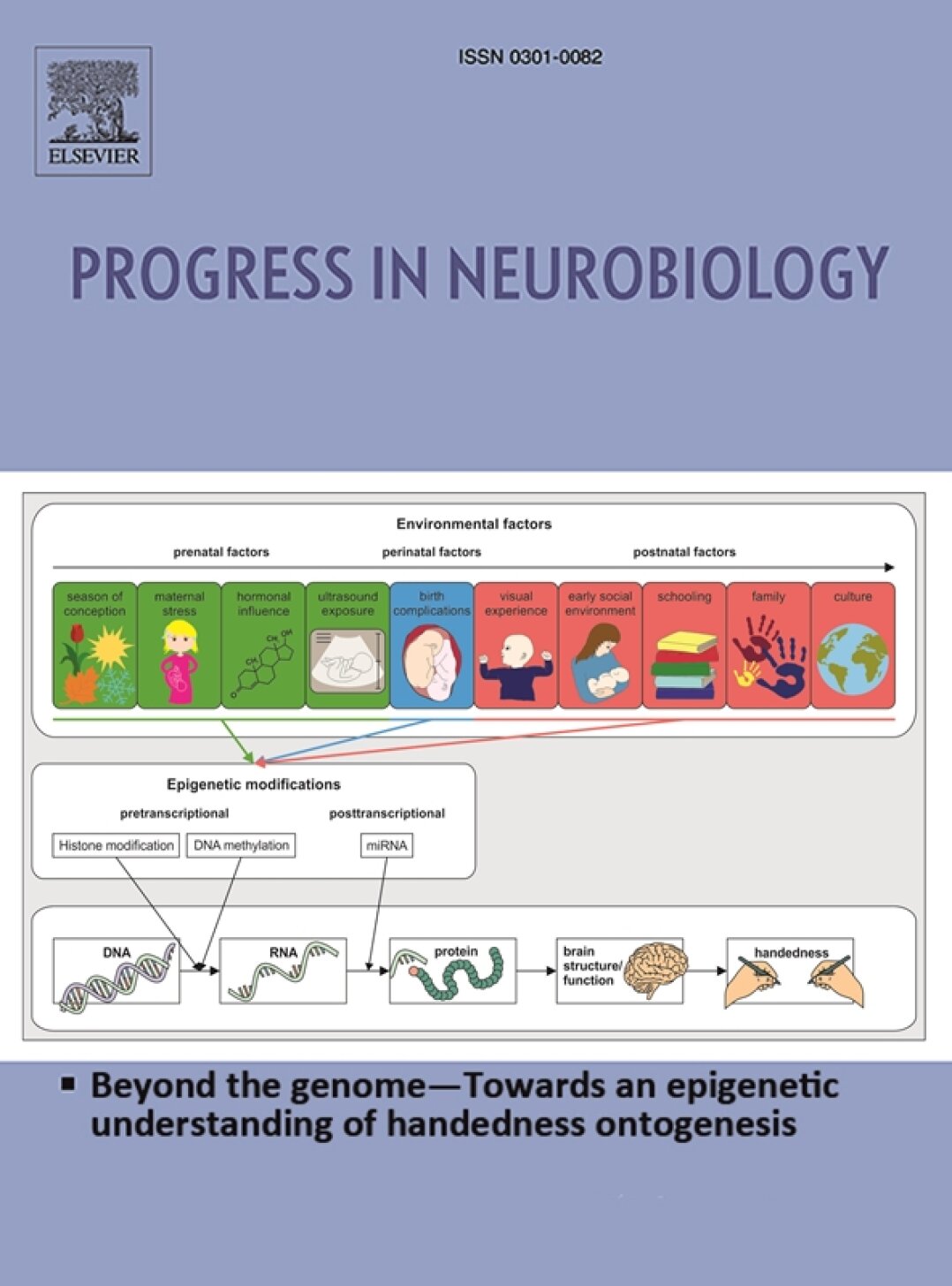 Beyond The Genome