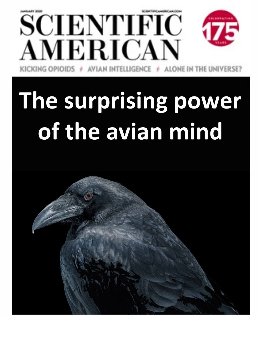 The suprising power of the avian mind