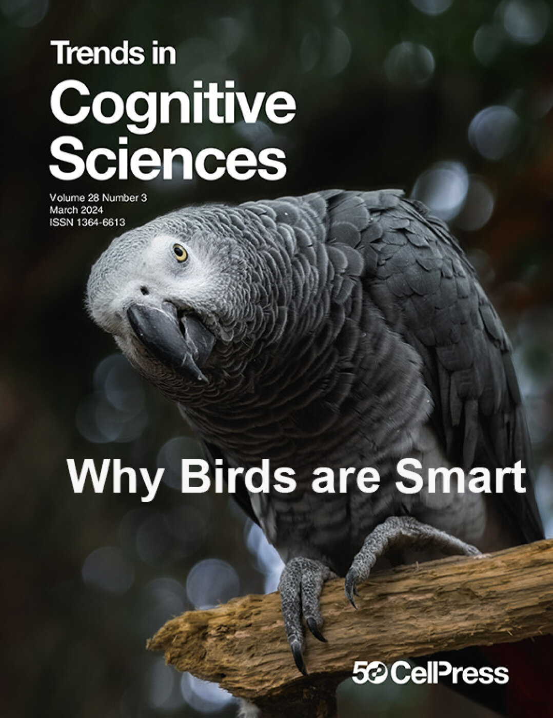 Why Birds are Smart